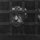 Leon Czolgosz bloodied and bandaged in jail after assassinating President McKinley